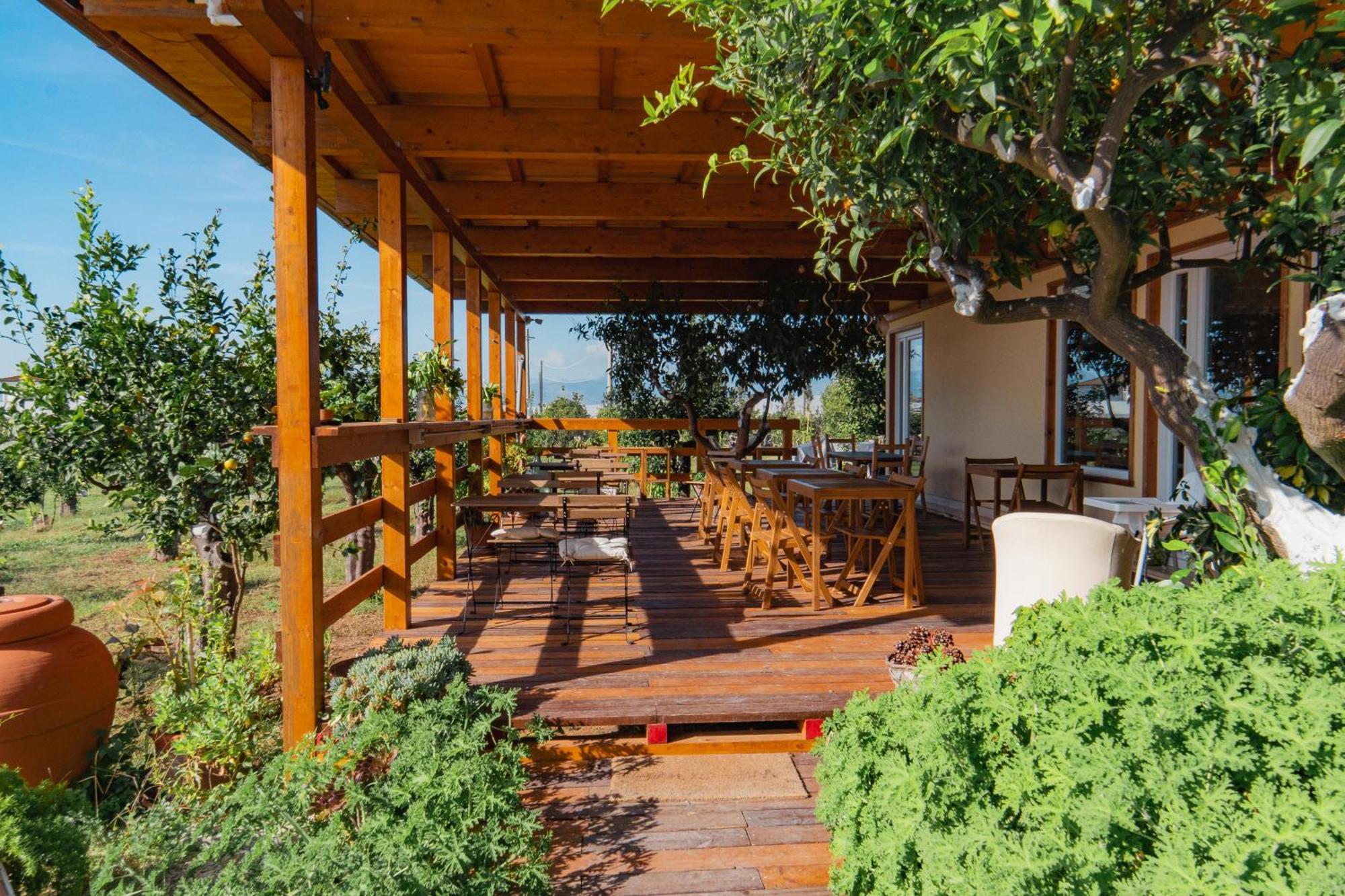 Casolare Country House 스펠론가 외부 사진
